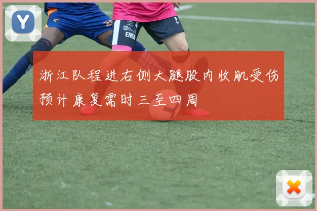 浙江队程进右侧大腿股内收肌受伤预计康复需时三至四周